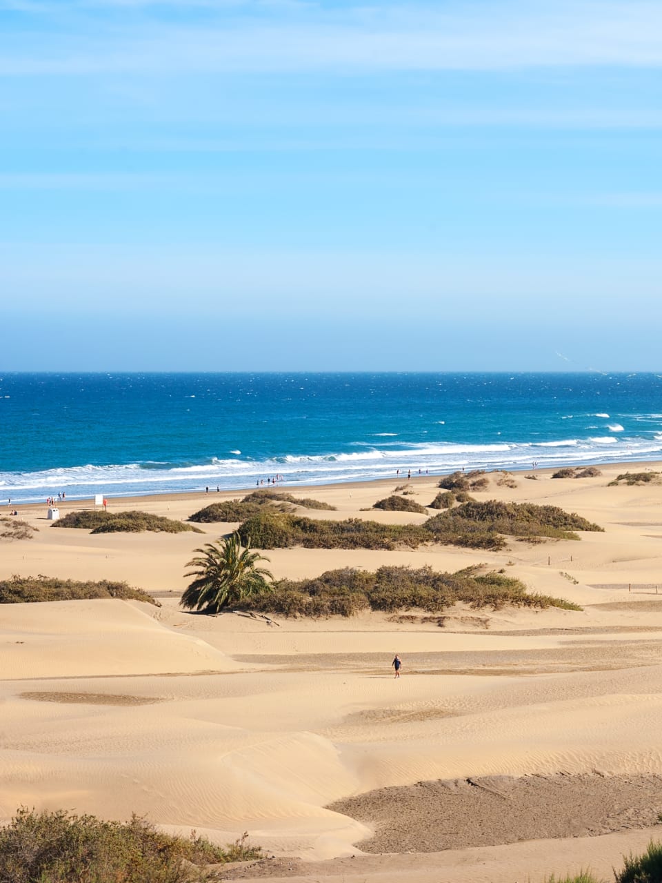 Coastline with sand dunes of Maspalomas. Gran Canaria, Canary Islands