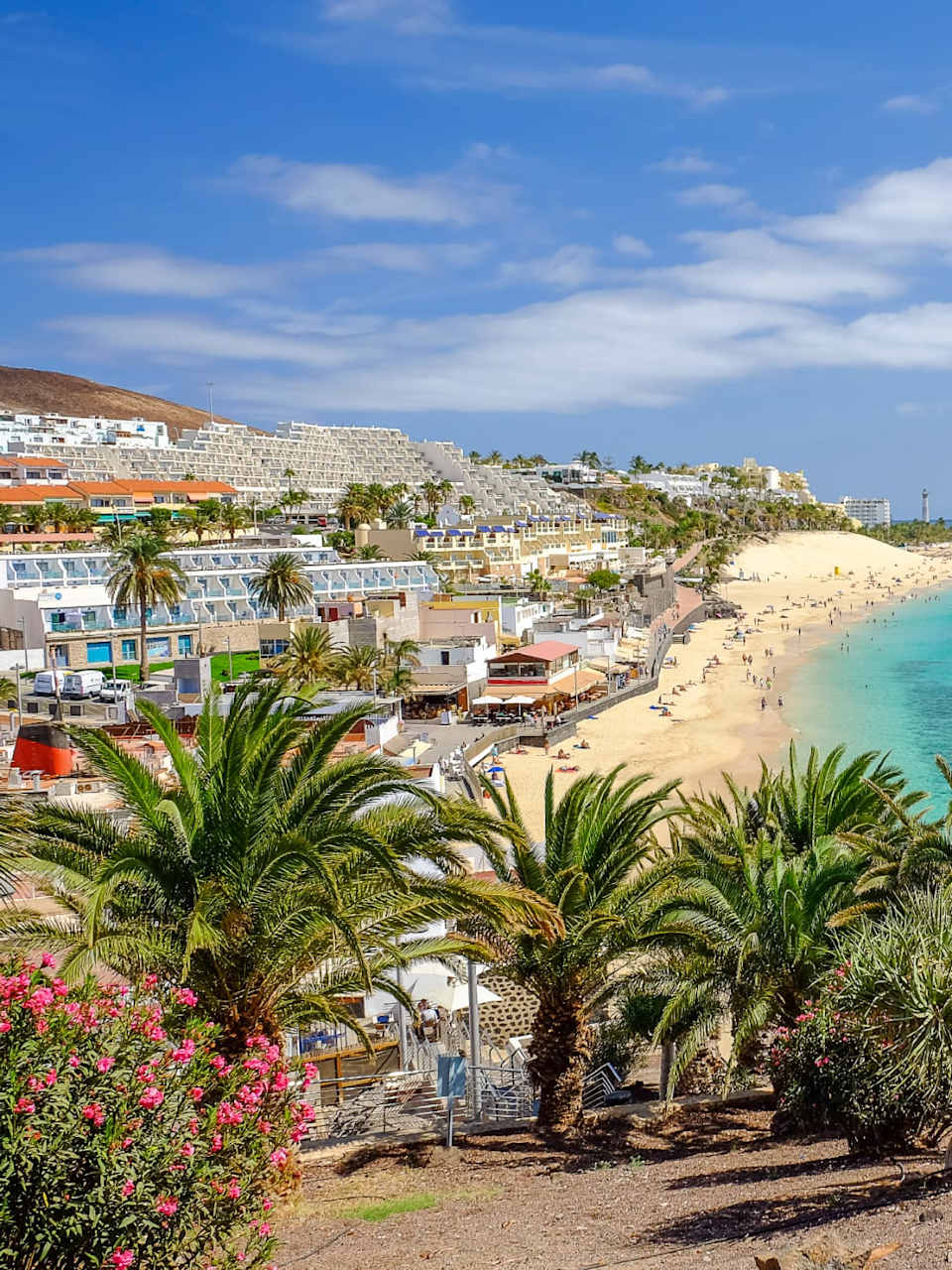 Playa del Matorral, Fuerteventura, Spanien © shutterstock.com - Elena Krivorotova
