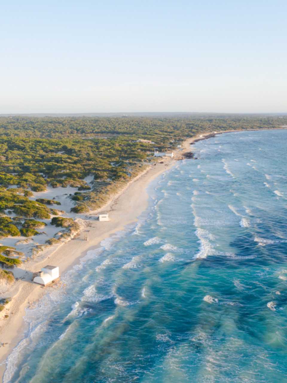 Vogelperspektive des Strandes Es Trenc auf Mallorca © Shutterstock.com - KadiProduction