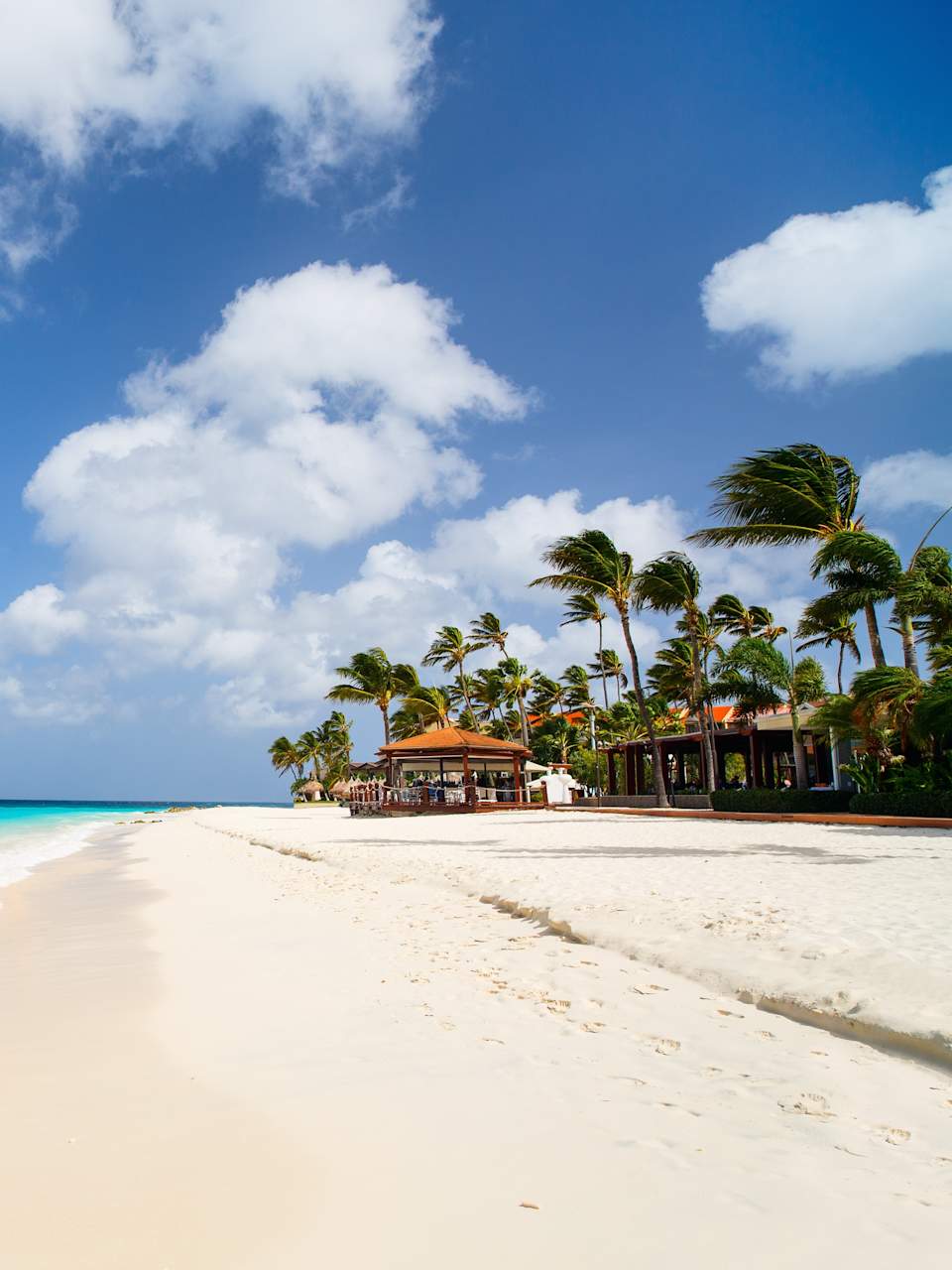Weißer Sandstrand mit Palmen auf Aruba, Karibik © Shutterstock