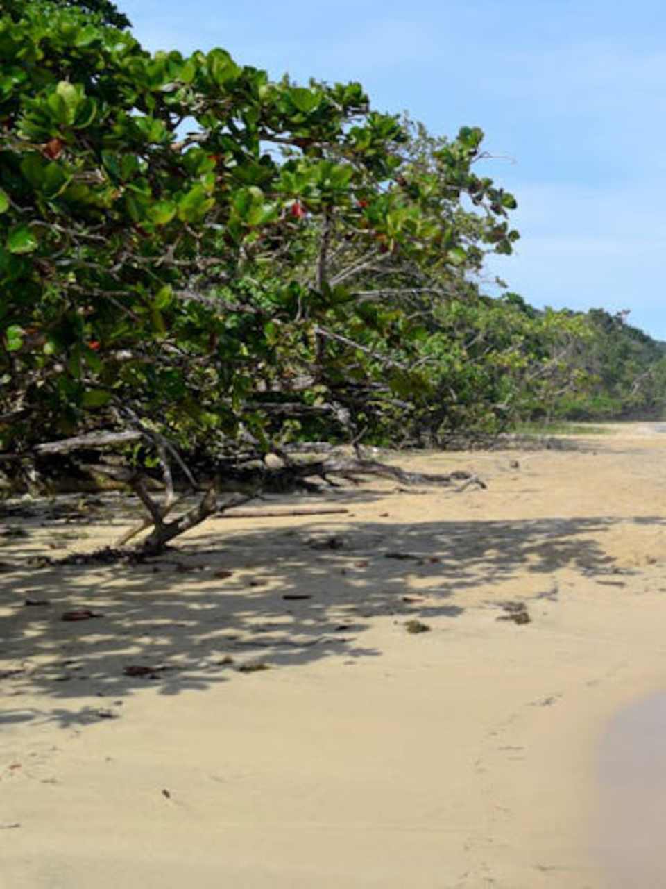 Red Frog Beach, Panama ©HolidayCheck