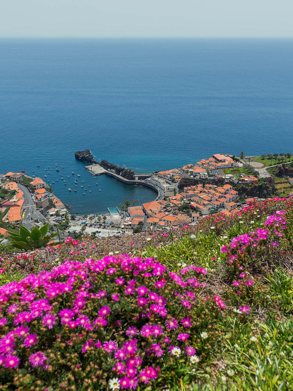 Ausblick über Camara de Lobos © Madeira Tourismus