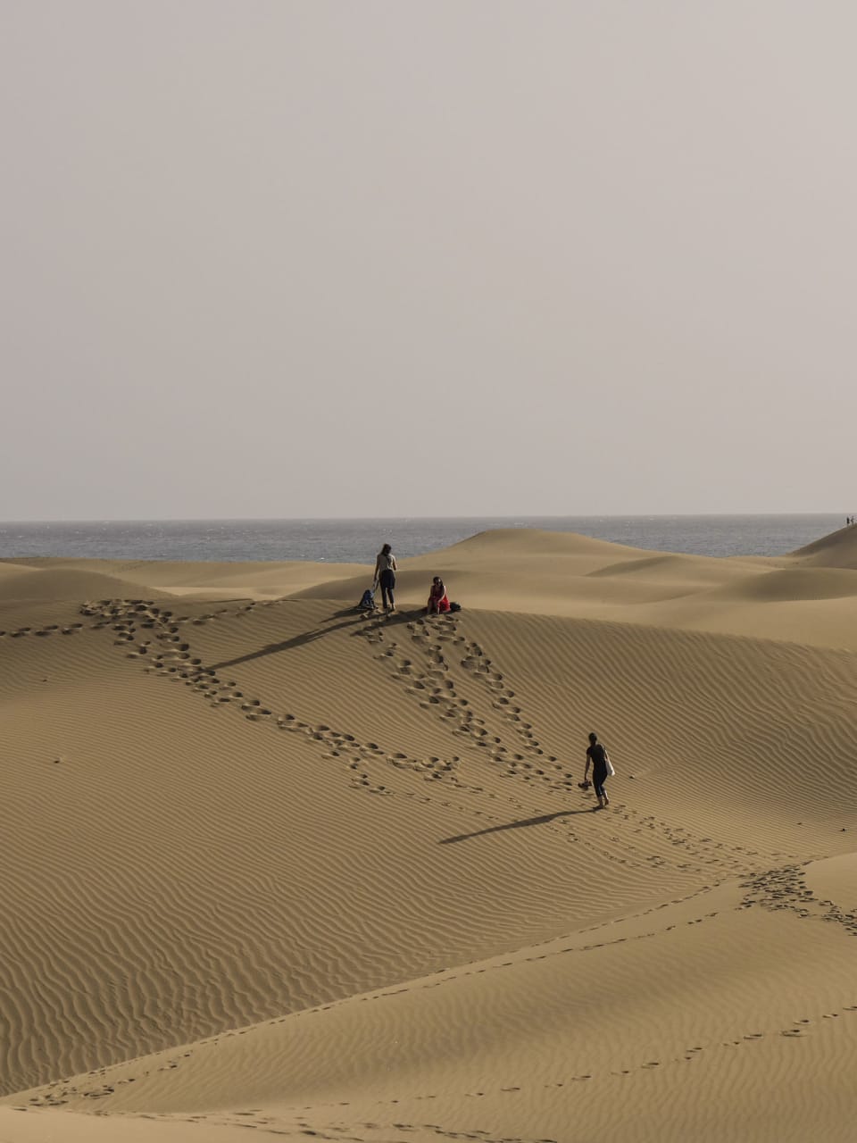 Dünen, Maspalomas, Gran Canaria © Joachim Negwer