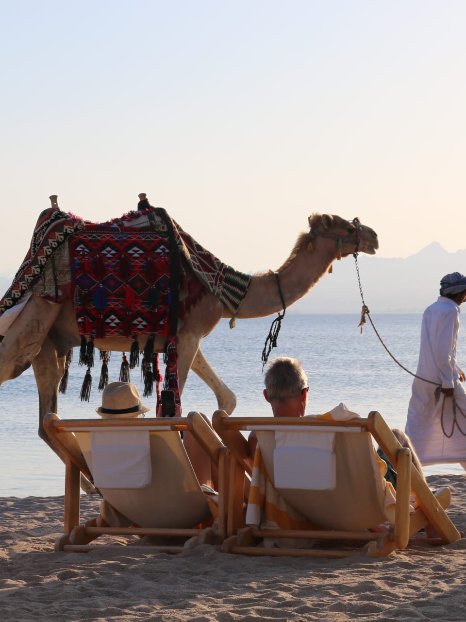 Kamele, Sonne und Strand © Robinson Club