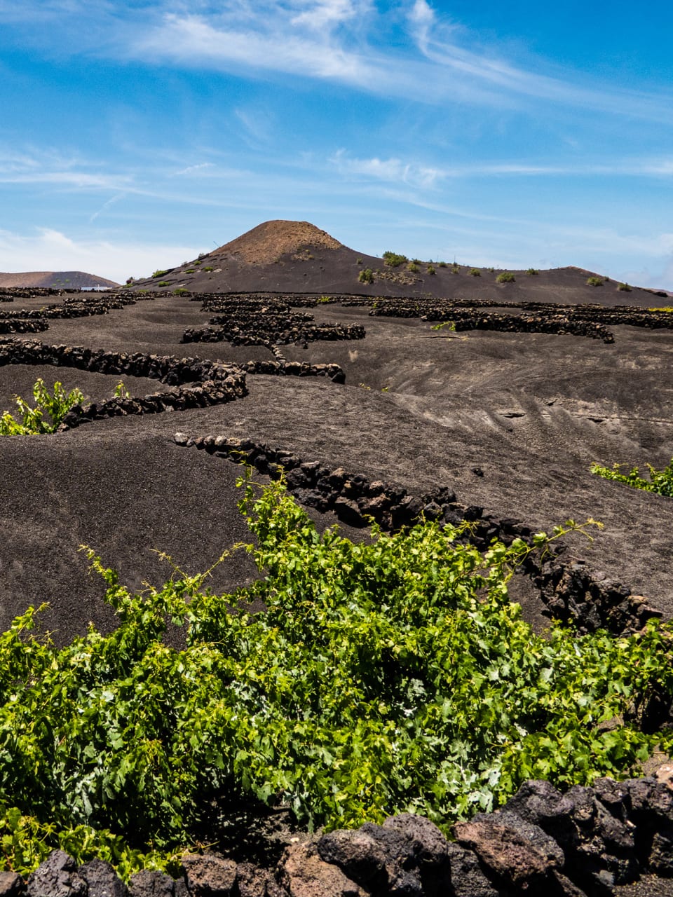 Weinanbaugebiet La Geria, Lanzarote © Joachim Negwe