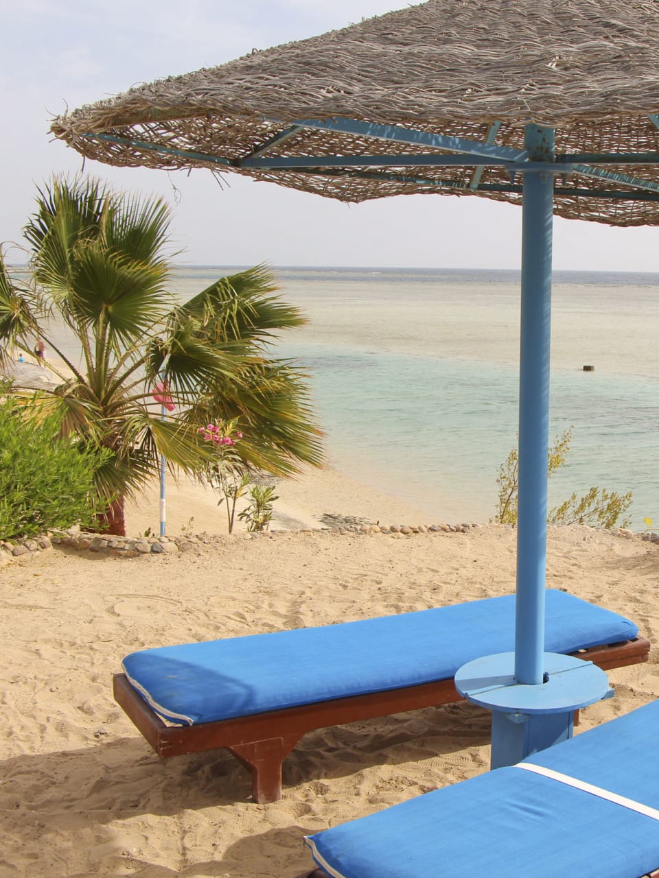 Marsa Alam Ferien 2024/2025 • Günstig buchen bei HolidayCheck