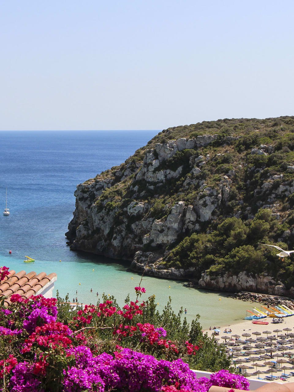Blick auf einen Strand mit Blumen im Vordergrund