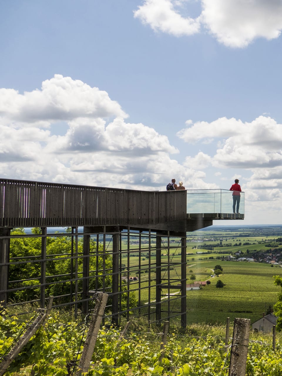 Weinblick am Eisenberg, Burgenland, Österreich © Joachim Negwer
