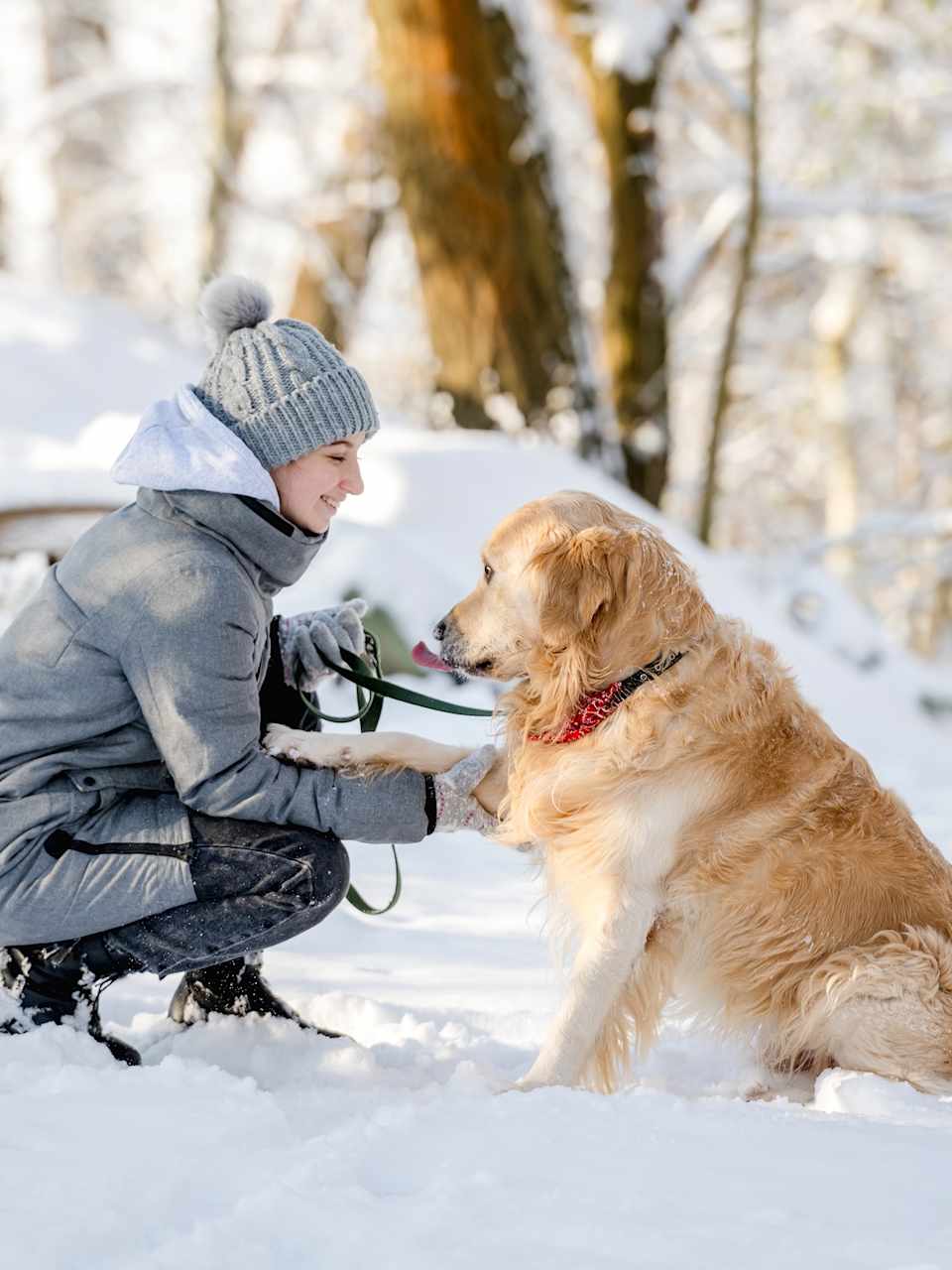 Frau und Hund auf einem Winterspaziergang mit viel Schnee © Shutterstock