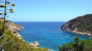 Aussicht auf den Strand von Cala Llonga auf Ibiza