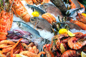 Frische Meeresfrüchte auf dem Fischmarkt