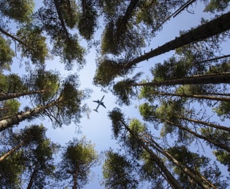 Flugzeug fliegt über Baumwipfel © Tsvetomir Hristov/Moment via Getty Images