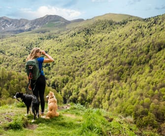 Frau wandert mit Hunden in Frankreich © DEBOVE SOPHIE/iStock / Getty Images Plus via Getty Images