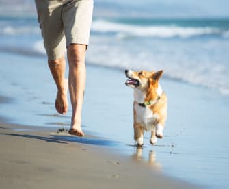 Hund und Mann rennen am Strand © Purple Collar Pet Photography/Moment via Getty Images