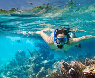 Junge Frau schnorchelt in Riff in Mexiko © iStock.com/Patryk_Kosmider