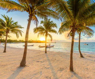 Playa de Akumal, Mexiko © Simon Dannhauer/iStock / Getty Images Plus via Getty Images