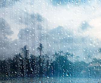 Fensterscheibe voller Regentropfen mit Regenwald im Hintergrund.