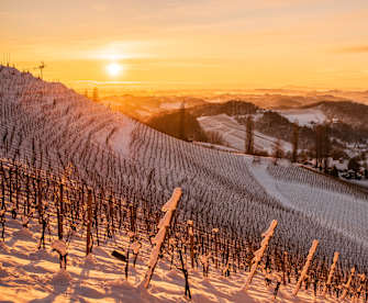 Schneebedecktes Weingut am Hang zum Sonnenaufgang