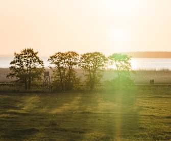 Wandern bei Sonnenaufgang bei Vogelsang-Warsin, Mecklenburg-Vorpommern