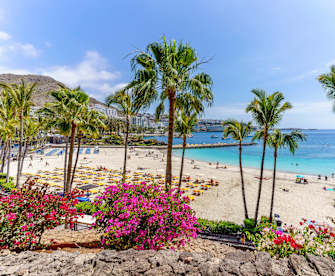 Blühende Pflanzen und Liegen für UrlauberInnen am Anfi Strand auf Gran Canaria