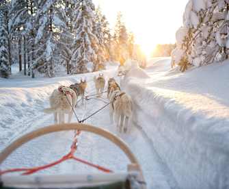Ein Wagen wird von Huskys durch eine verschneite Landschaft gezogen