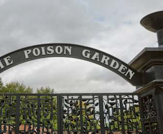 In diesem Garten in England findest Du fast ausschließlich giftige Pflanzen. © Jiri Vondrous/Shutterstock.com