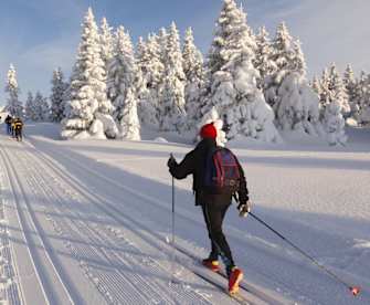 Langlaufen ist für manche der schönste Wintersport. © Rob Kints/Shutterstock.com