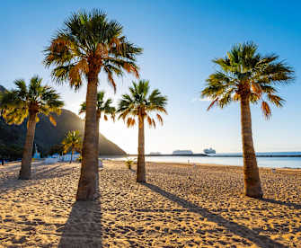 Strand mit Palmen und Kreuzfahrtschiffen am Horizont auf den Kanaren, Spanien.