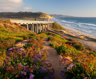 Ein buntbewachsener Küstenabschnitt