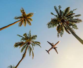 Flugzeug im Himmel über Palmen