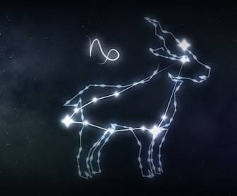 Sternzeichen Steinock