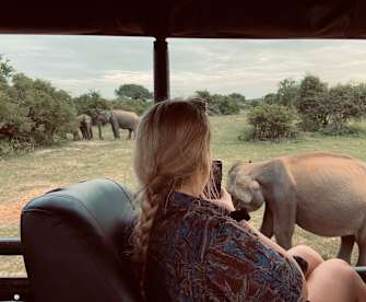Nele fotografiert die Elefanten im Yala Nationalpark, Sri Lanka © Nele Gerken