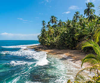 Paradise beach of Manzanillo at Puerto Viejo, Costa Rica