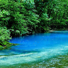 Der Rio Celeste in Costa Rica leuchtet in schimmernden Grün- und Blautönen. © Tanguy de Saint-Cyr/Shutterstock.com