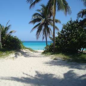 Scenic View Of Sand Against Sea