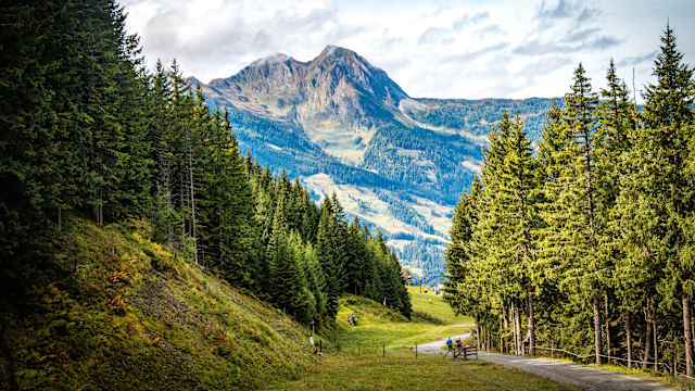 Ein Weg führt in ein Tal, auf beiden Seiten wachsen Nadelbäume in die Höhe. Auf der anderen Seite  erhebt sich ein hoher Berg.