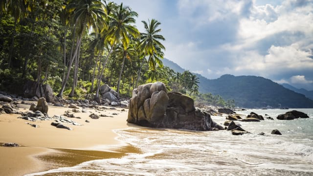 Ein Strand mit Palmen und Felsen