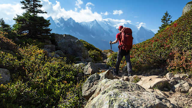 Ein Wanderer geht über einen schmalen steinigen Weg. Rundherum wachsen wilde Blaubeeren. Im Hintergrund erheben sich die Berge.