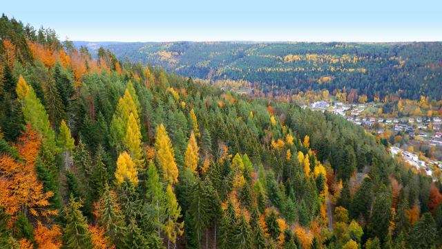 Bad Wildbach im Schwarzwald © globetrotter1 – stock.adobe.com