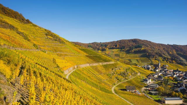 Blick auf die Weinbaugebiete, mit einem kleinen Dorf in der Eifel.