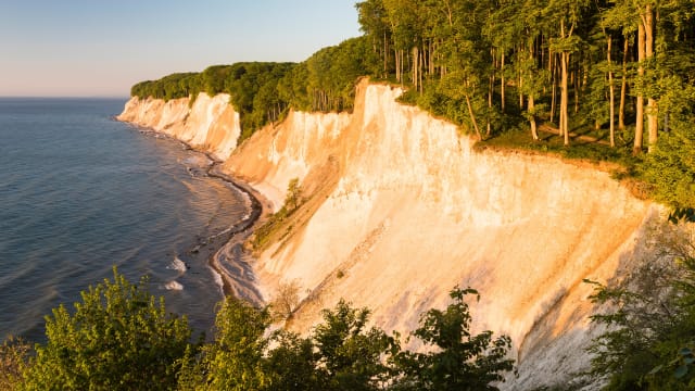 Buchenwald an der Kreideküste im Morgenlicht, Nationalpark Jasmund, Insel Rügen, Mecklenburg-Vorpommern, Deutschland