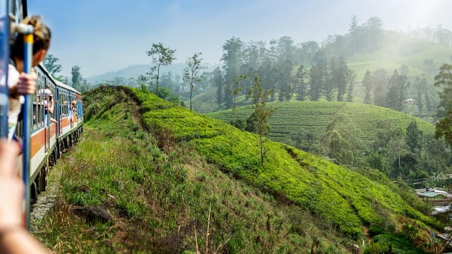 Ein Zug fährt zwischen Teeplantagen in Sri Lanka.
