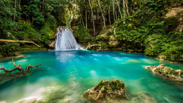 Ein Wasserfall im Wald von Jamaika.