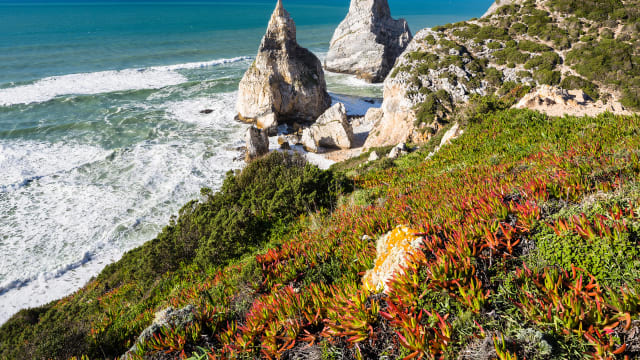 Felsen am Strand Praia da Ursa nahe Cabo da Roca, Sintra, Distrito de Lisboa, Portugal ©Frank Lukasseck/HUBER IMAGES