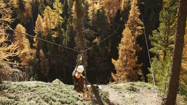 Eine Frau hängt an einer Zipline über einem Wald.