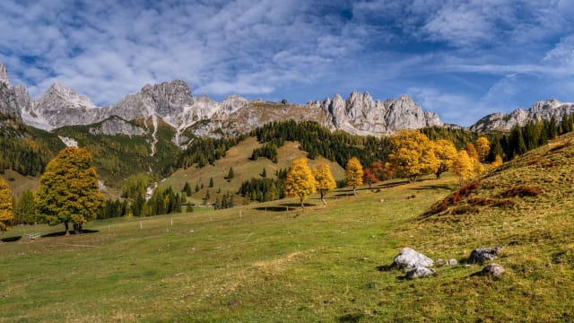 Herbstlandschaft in Österreich mit Bergpanorama im Hintergrund.