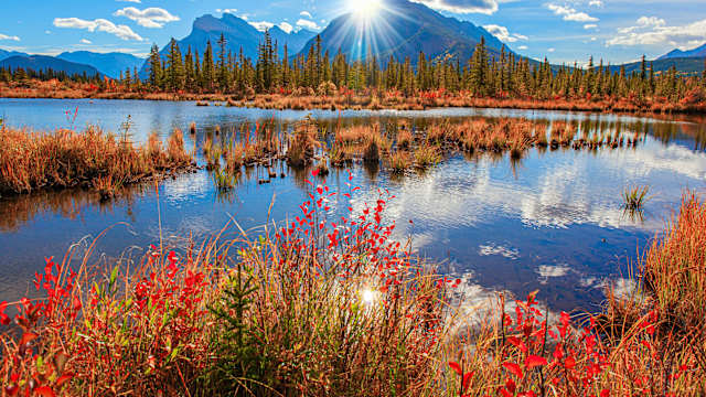 Herbstliche Natur am Lake Vermillon, Kanada.
