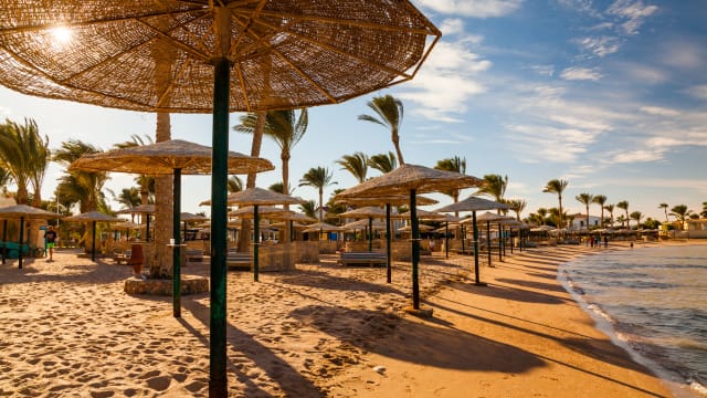 Sauberer Strandabschnitt mit Sonnenschirmen, Palmen und windgeschützten Liegen