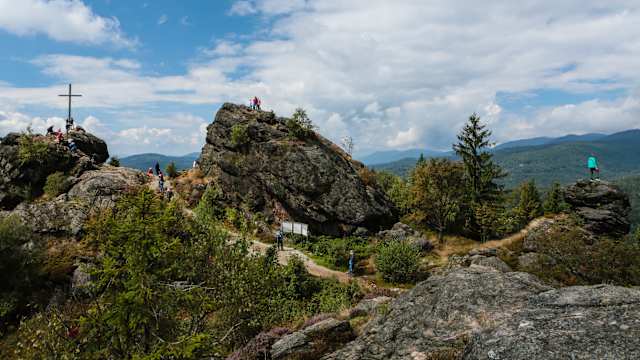Der Bayerische Wald bietet noch mehr als nur tolle Ausblicke