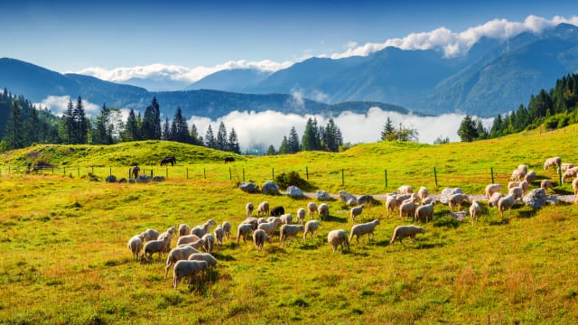 Triglav, Julische Alpen